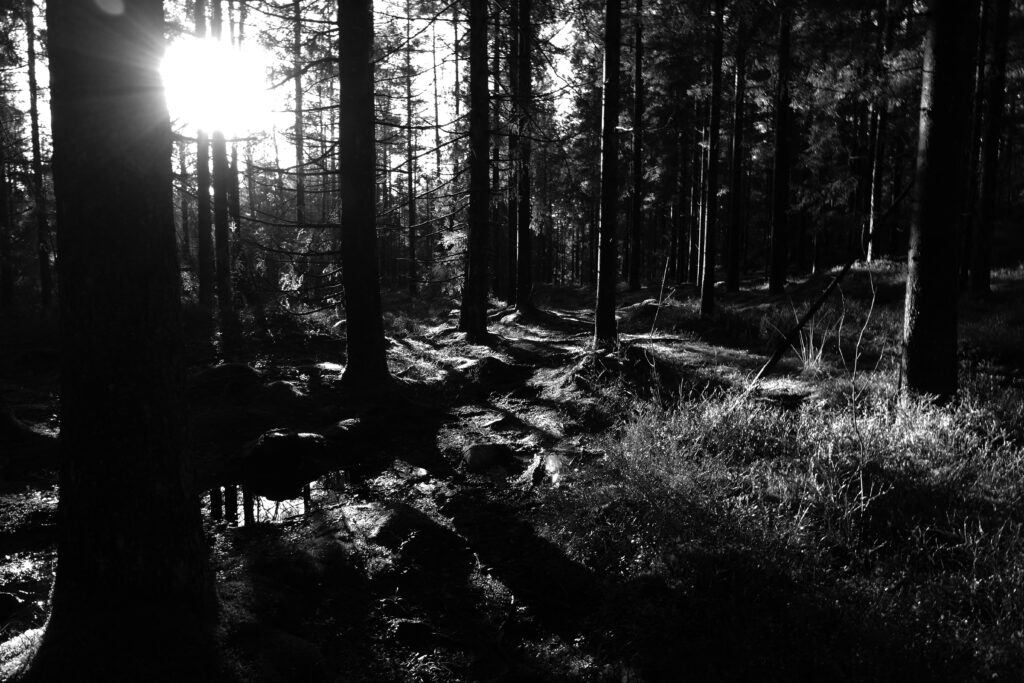 New version of the website launched