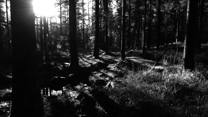 New version of the website launched