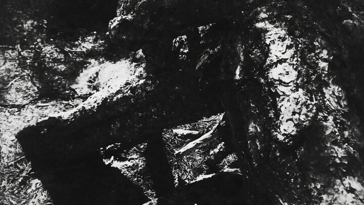 New music: Dissolution