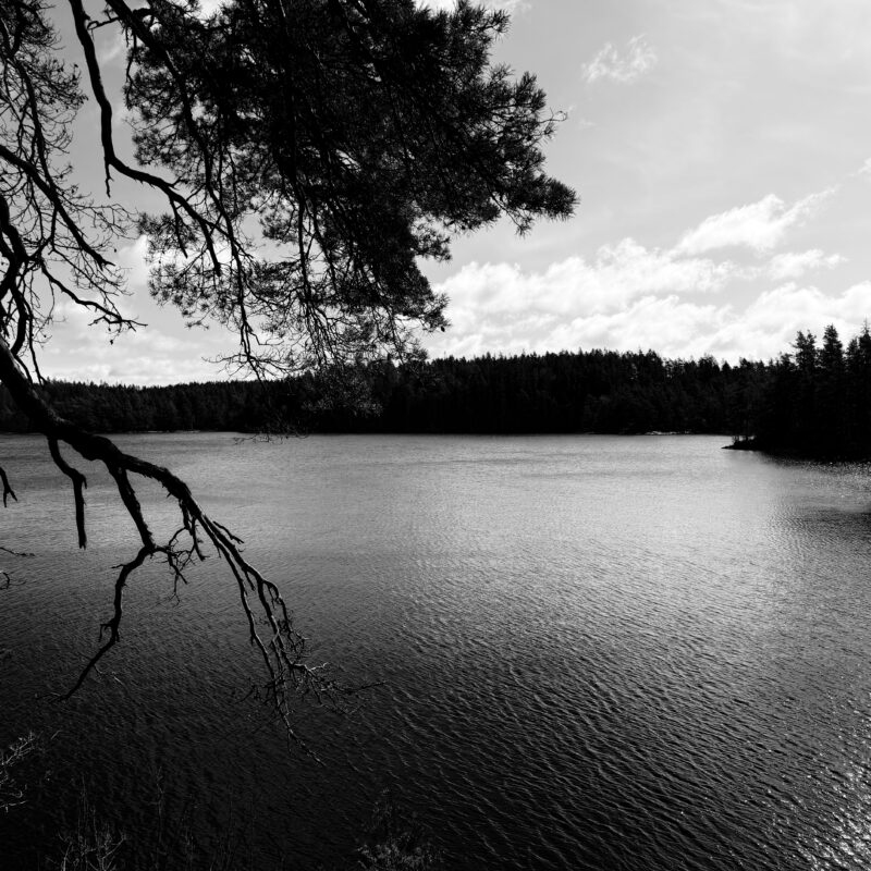 Skarsjön