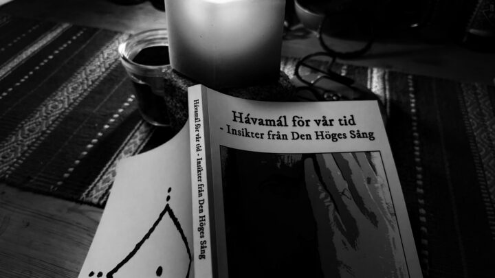 Hávamál – First Translation of My Interpretations and Reflections